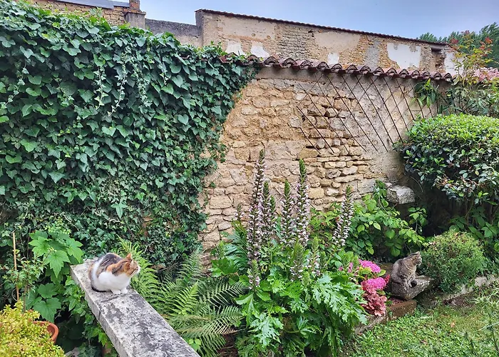 Bed & Breakfast Nuit A La Clouere